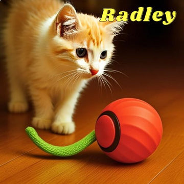 Smart Interactive Cats Toy Balls