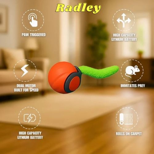 Smart Interactive Cats Toy Balls